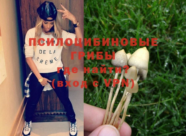 mdpv Елизово