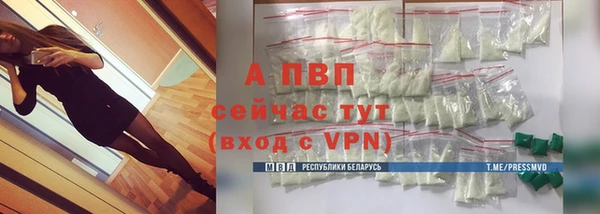 стафф Ельня