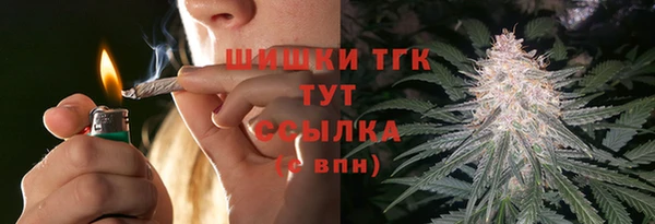 стафф Ельня