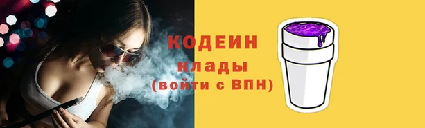 mdpv Елизово