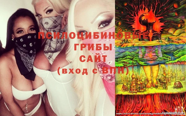 стафф Ельня
