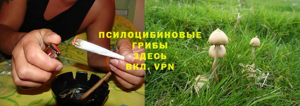 mdpv Елизово