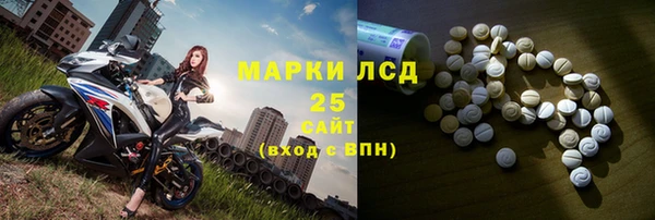 стафф Ельня