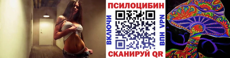Купить закладки  Петушки  Псилоцибиновые грибы GOLDEN TEACHER 